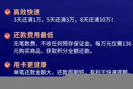 酉阳酉阳的要账公司在催收过程中的策略和技巧有哪些？